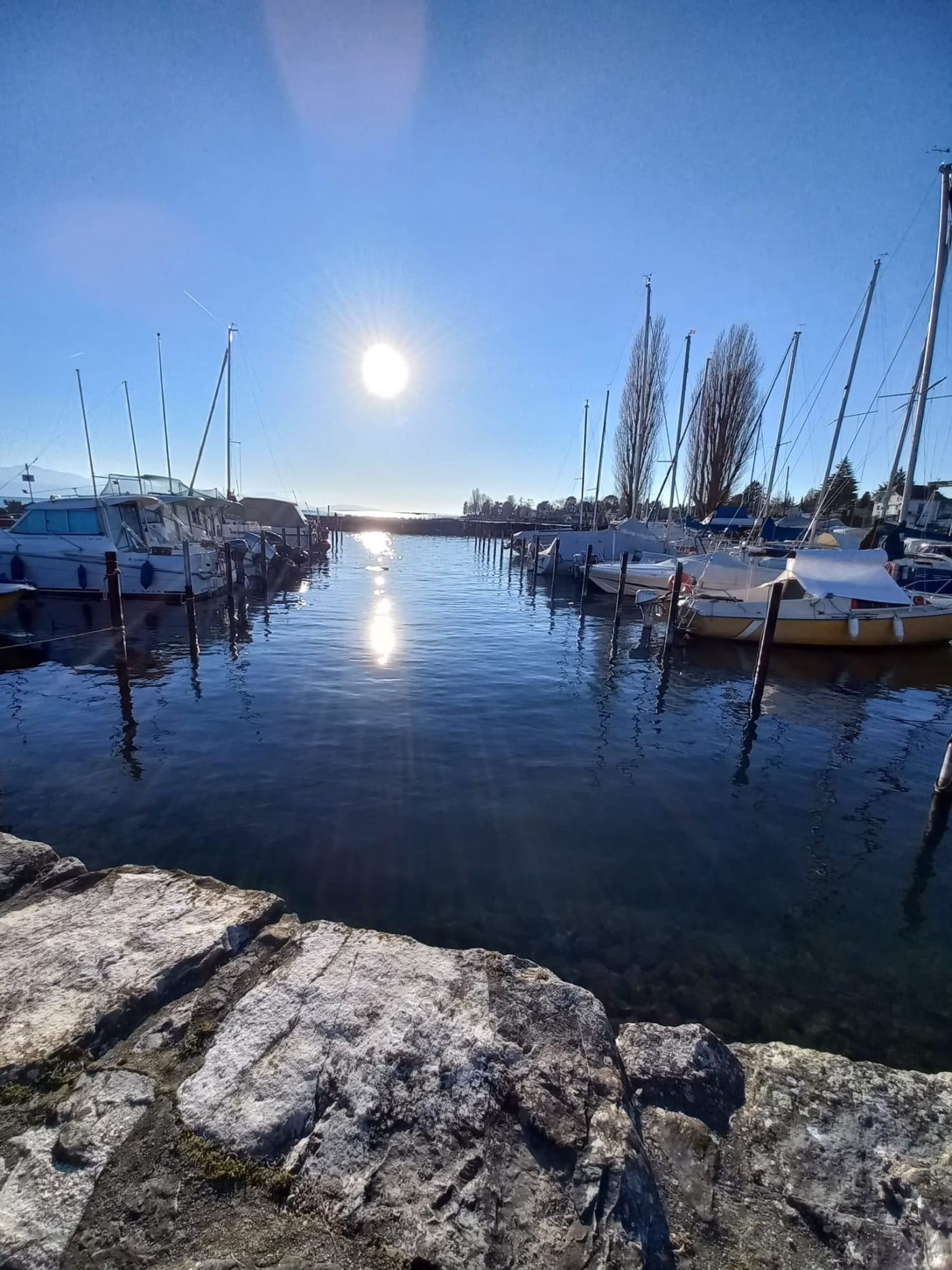 Photo de plusieurs bateaux stationnés au port